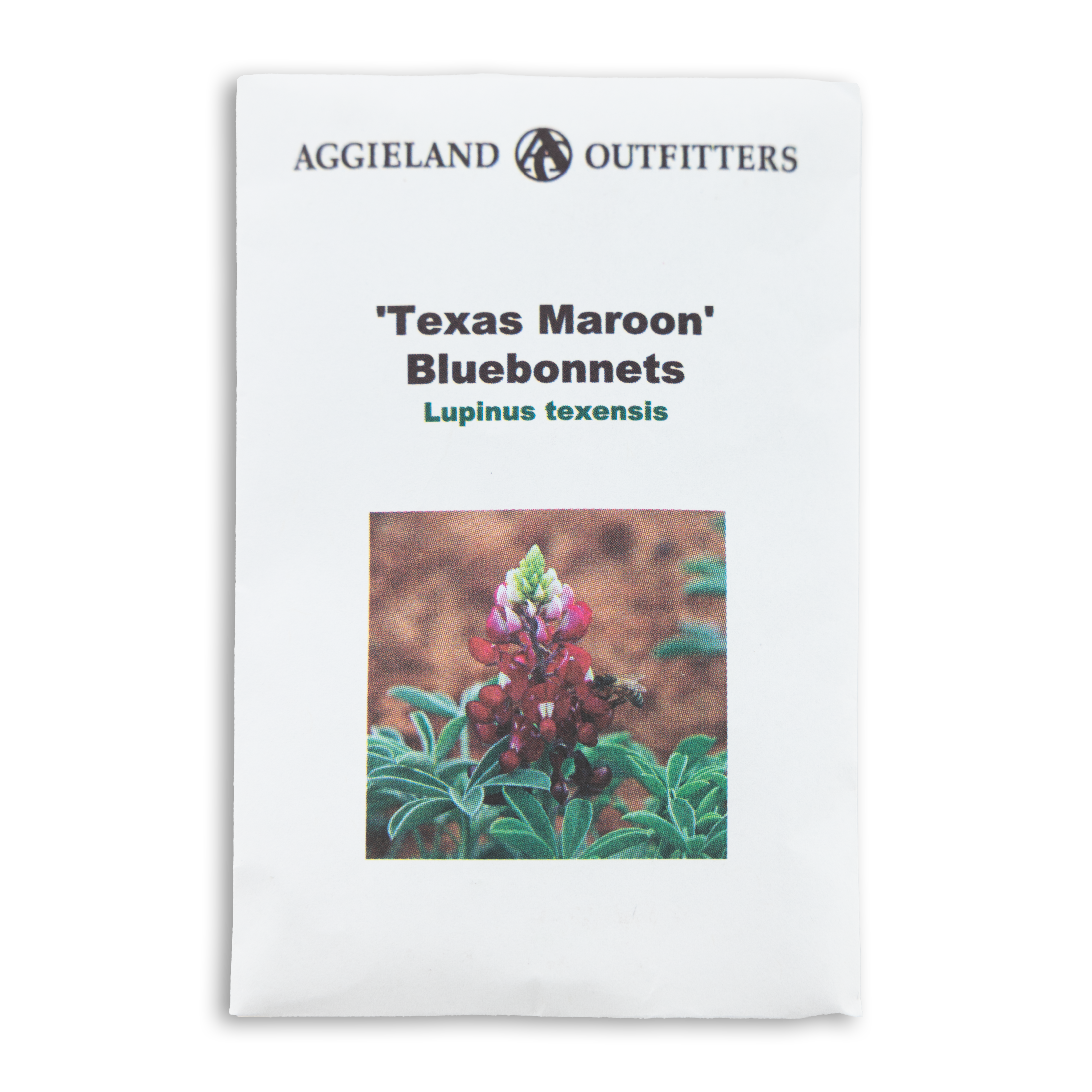 Maroon Bluebonnet Seeds