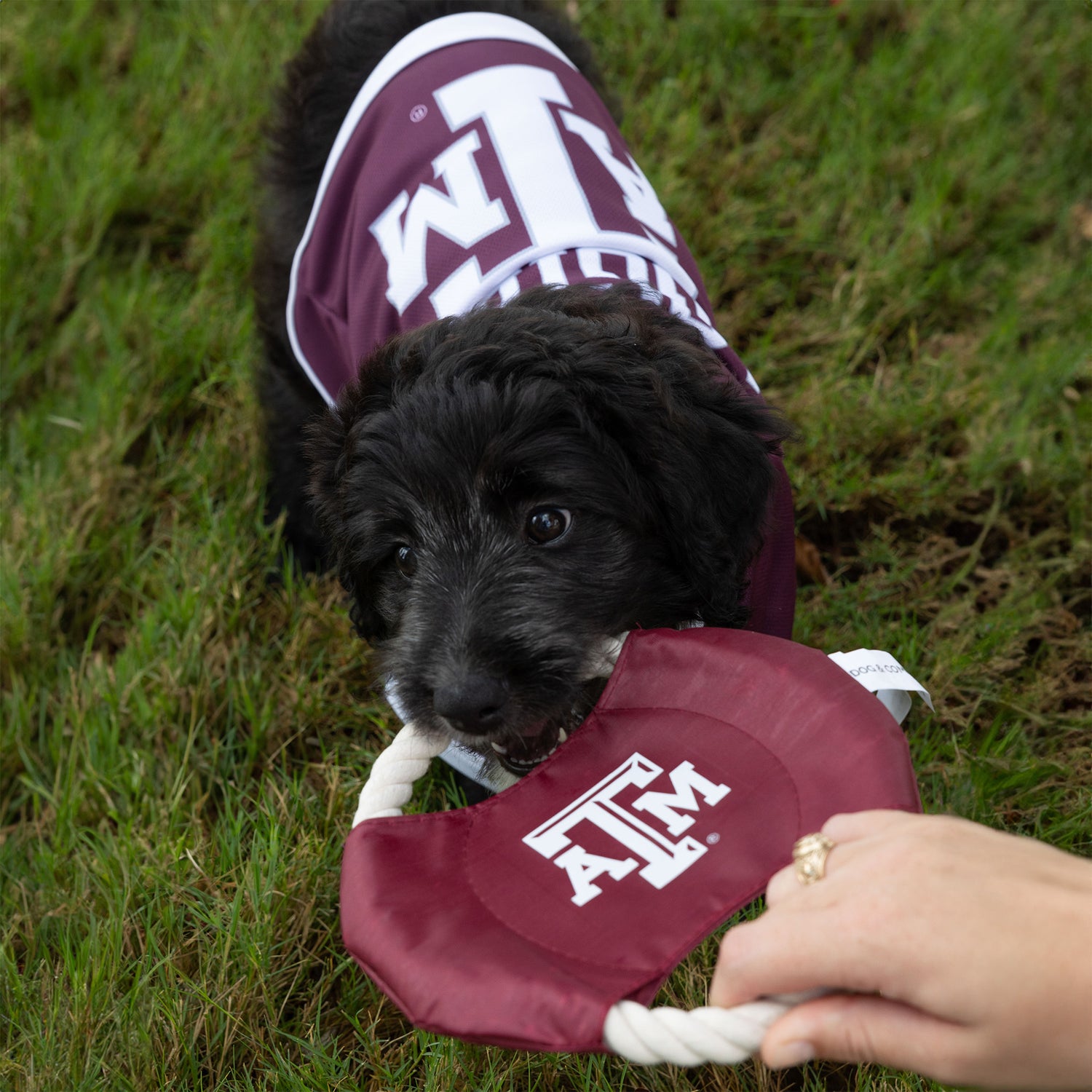 Texas A&M Rope Disc Dog Toy