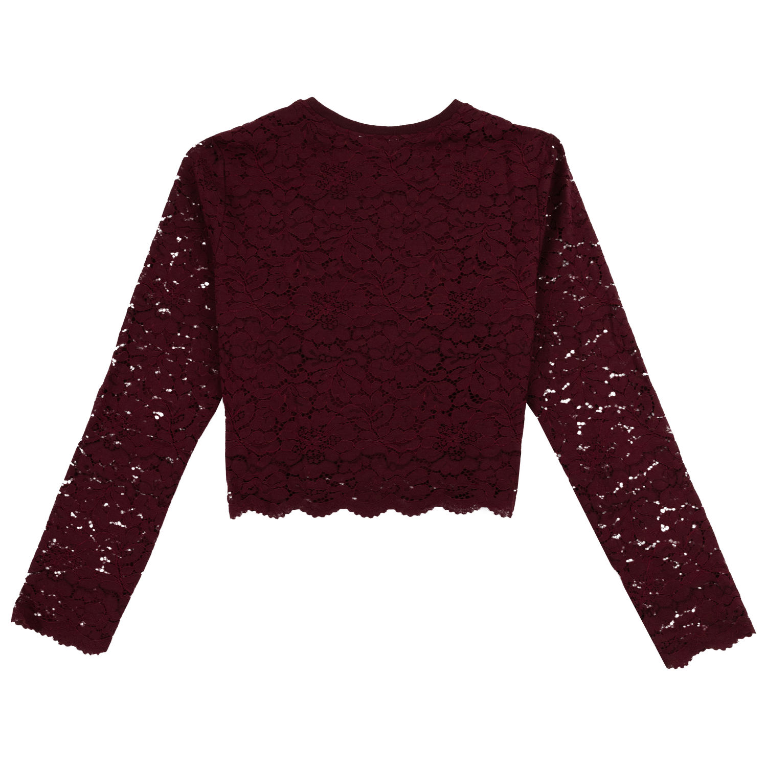 Maroon Lace Cropped Long Sleeve Top