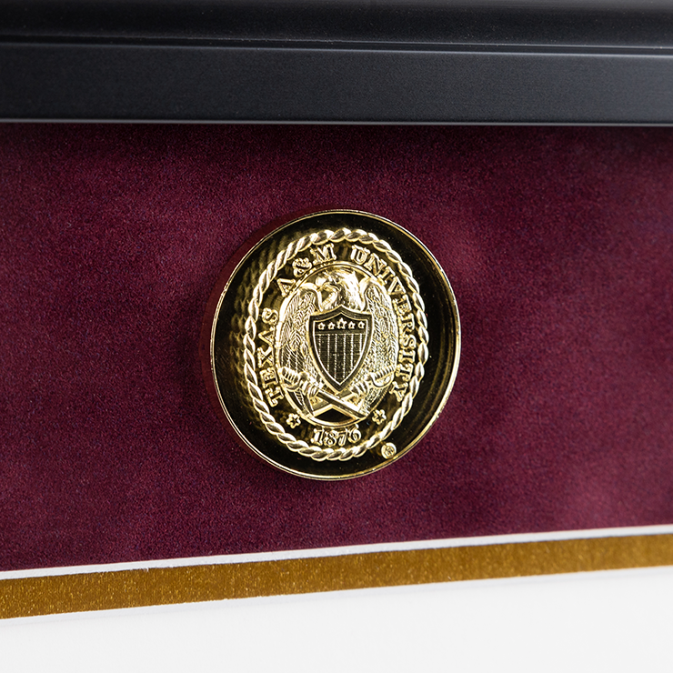 Executive Black with Maroon Suede Diploma Frame