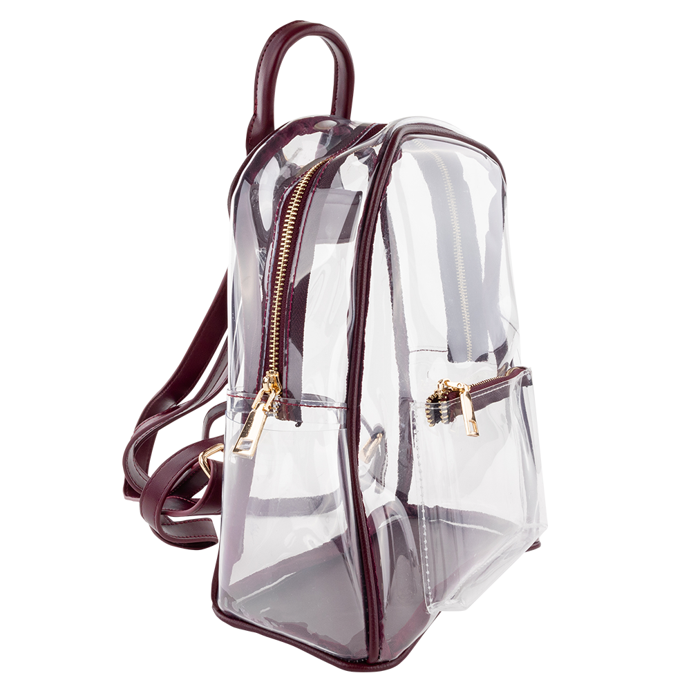 Collegiate Outfitters Clear Backpack