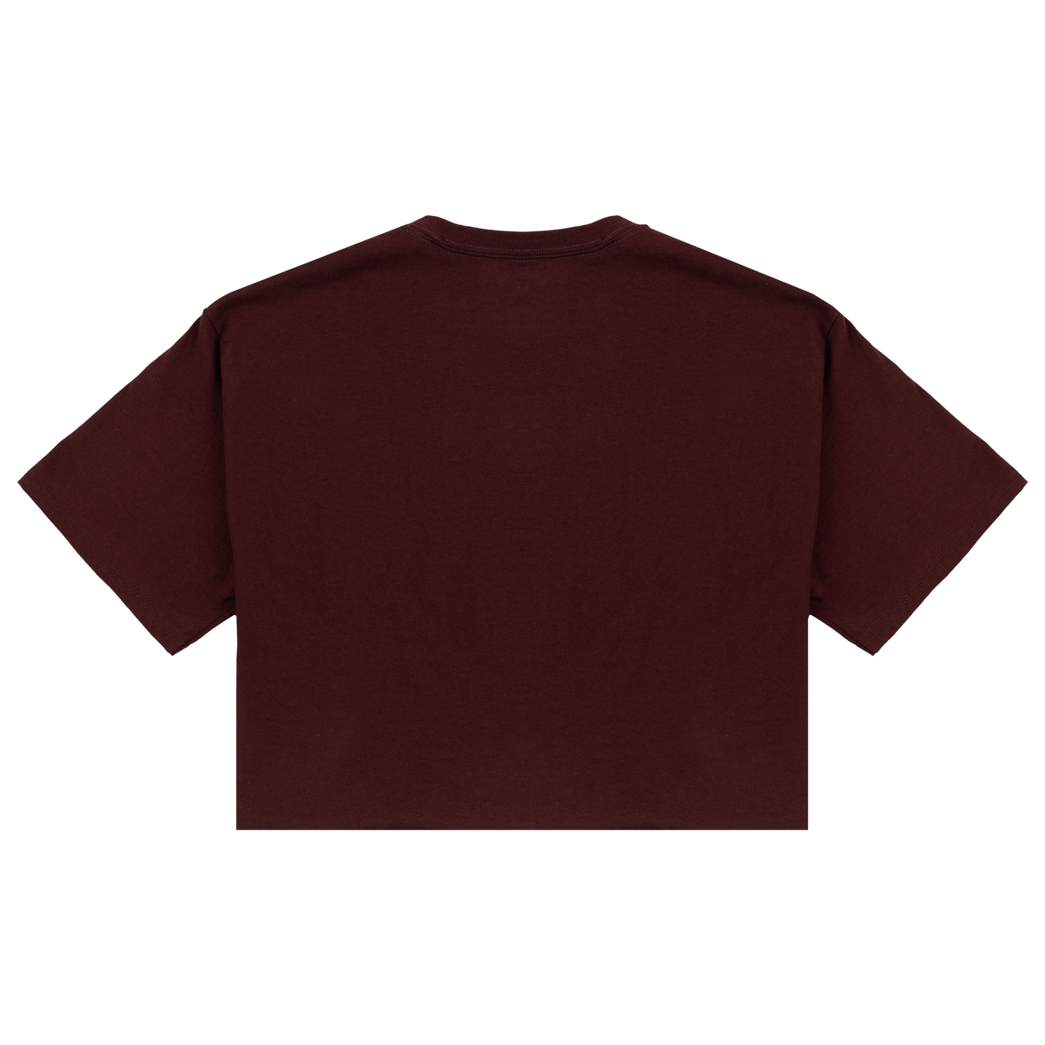 Texas A&M Embroidered Boyfriend Crop Tee