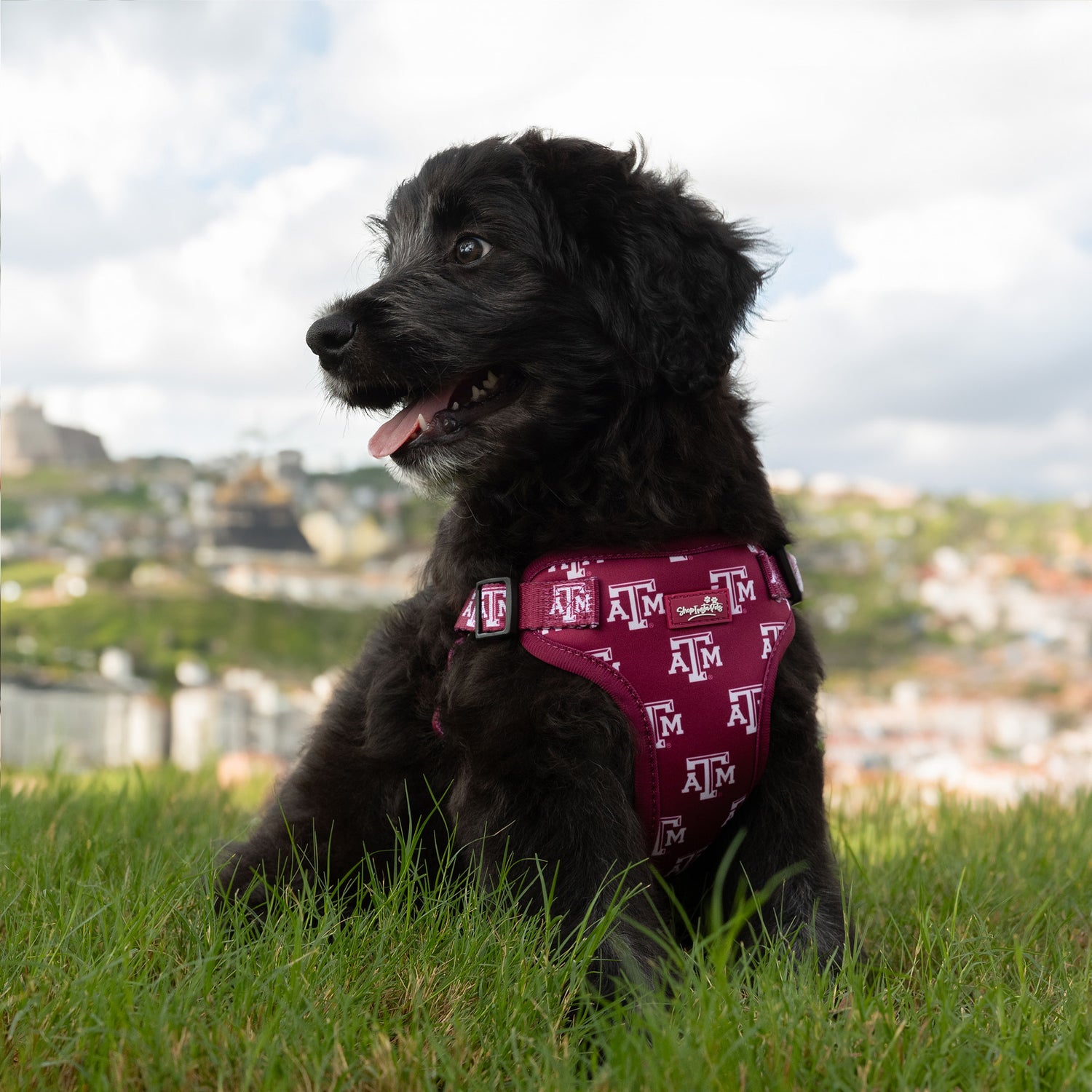 Texas A&M Dog Harness