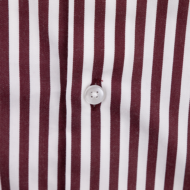 Vertical Striped Luchiano Visconti Button Down