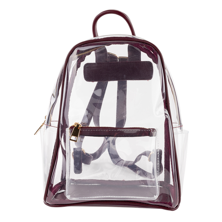 Collegiate Outfitters Clear Backpack