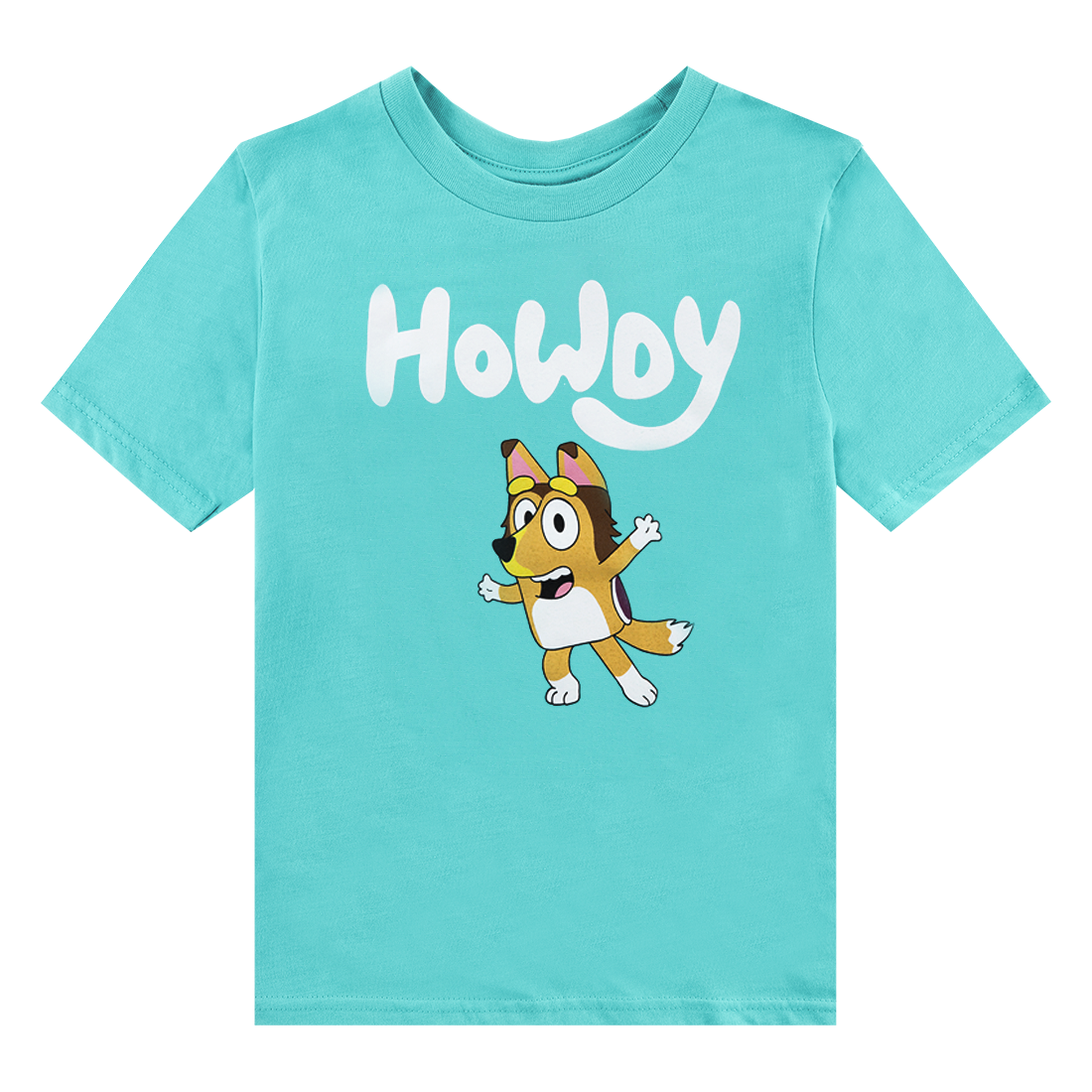 Teal t-shirt with "Howdy" in white with a collie beneath it