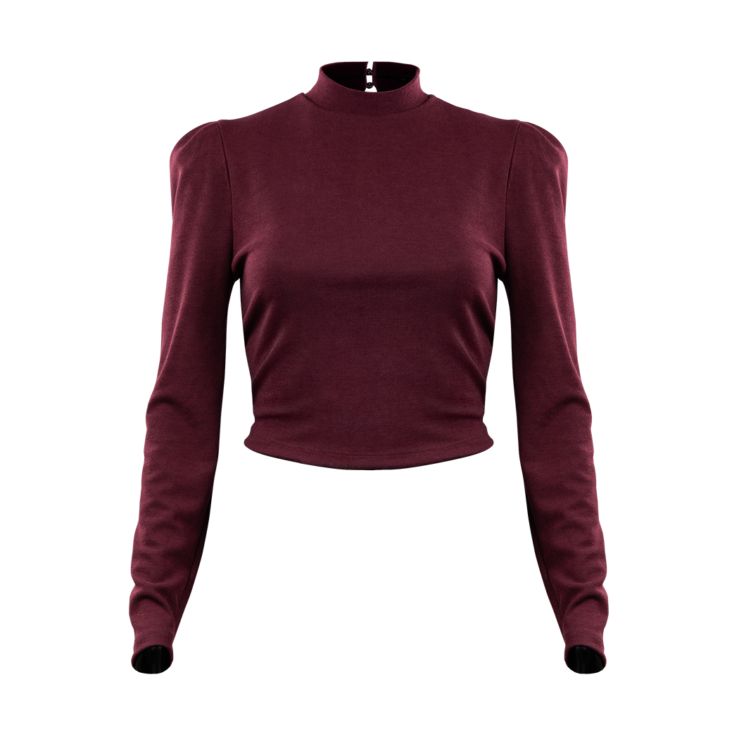 Maroon long sleeve crop top