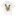 White shirt with a tropical football themed logo on the back. 