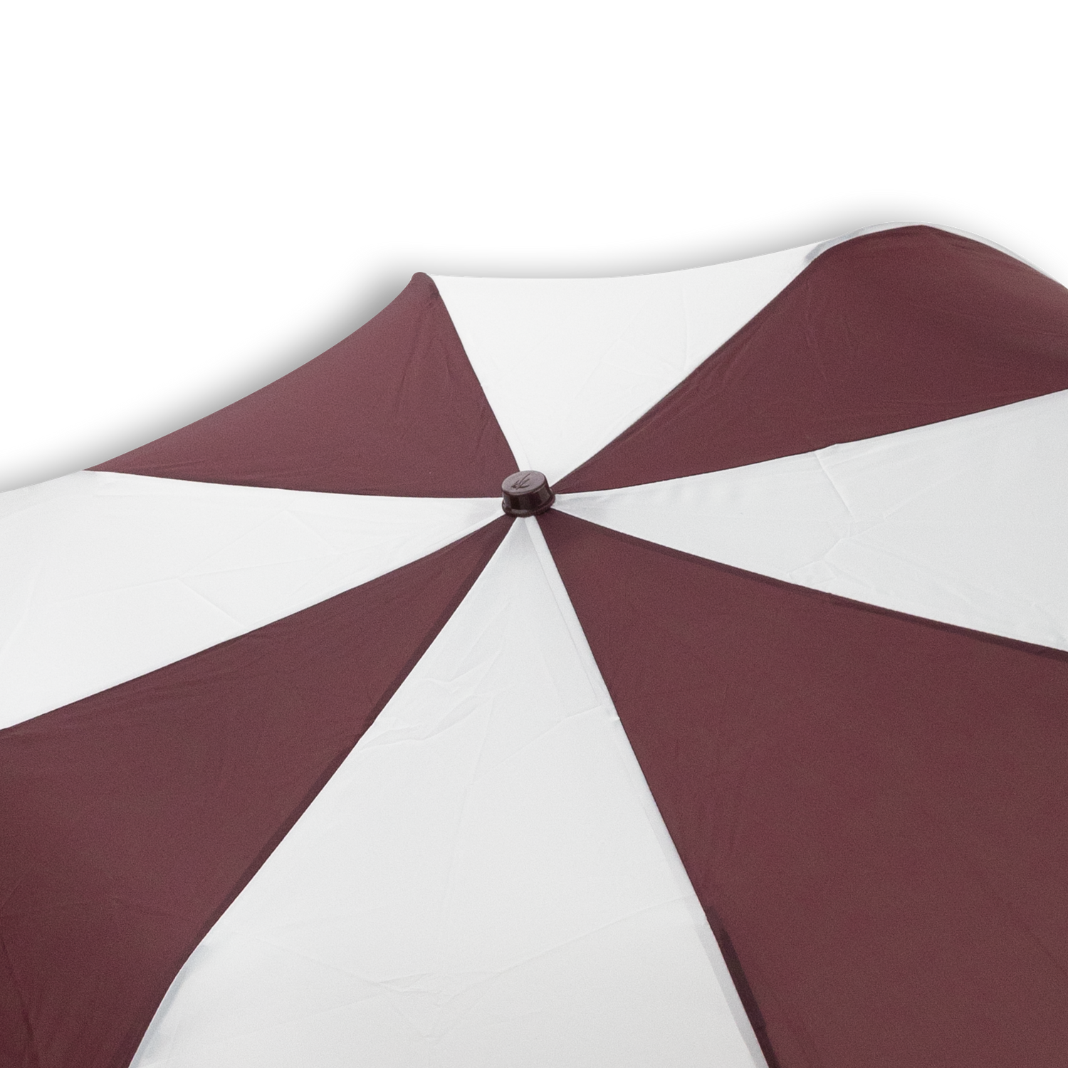 Two Color Umbrella