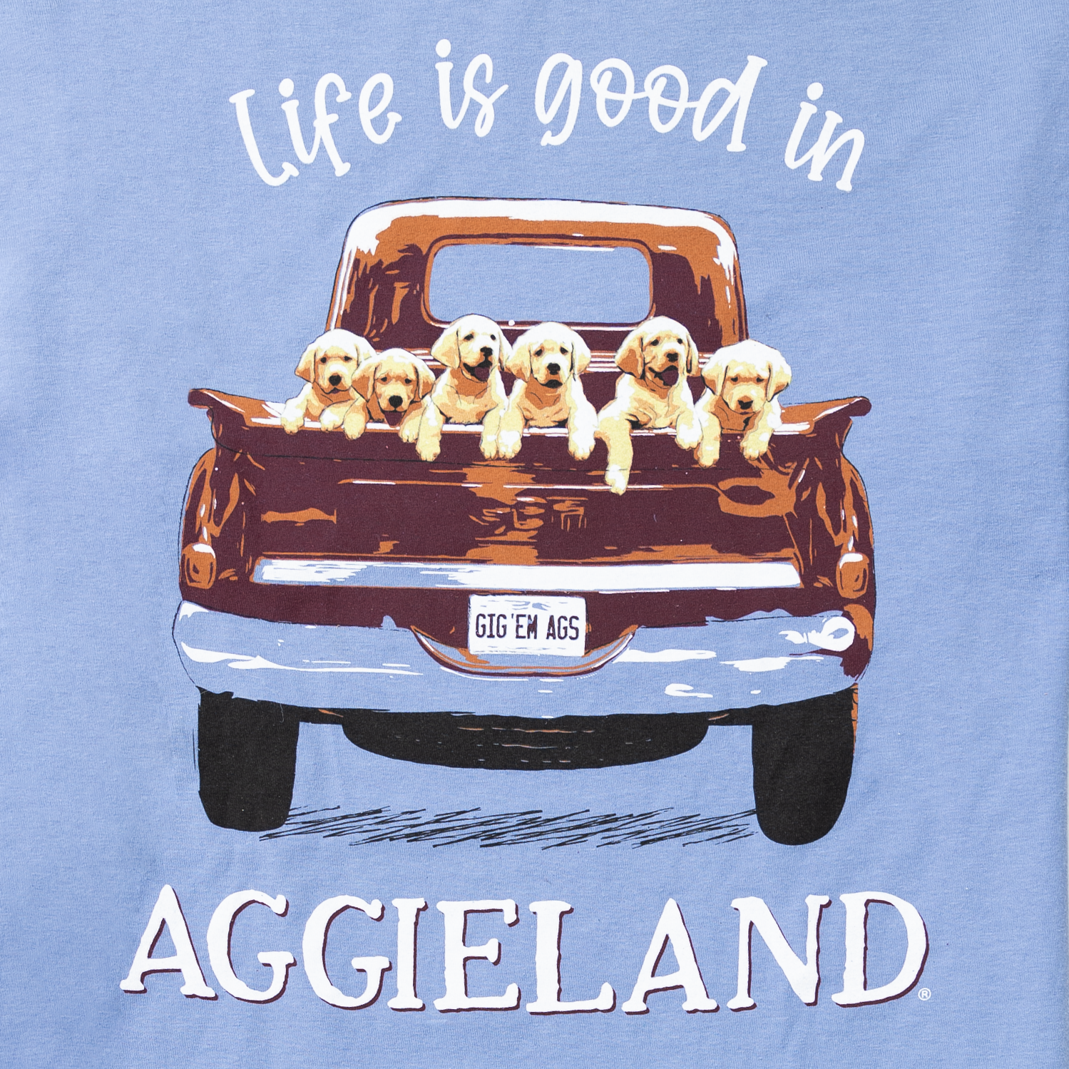 Simple Modern - Aggieland Outfitters