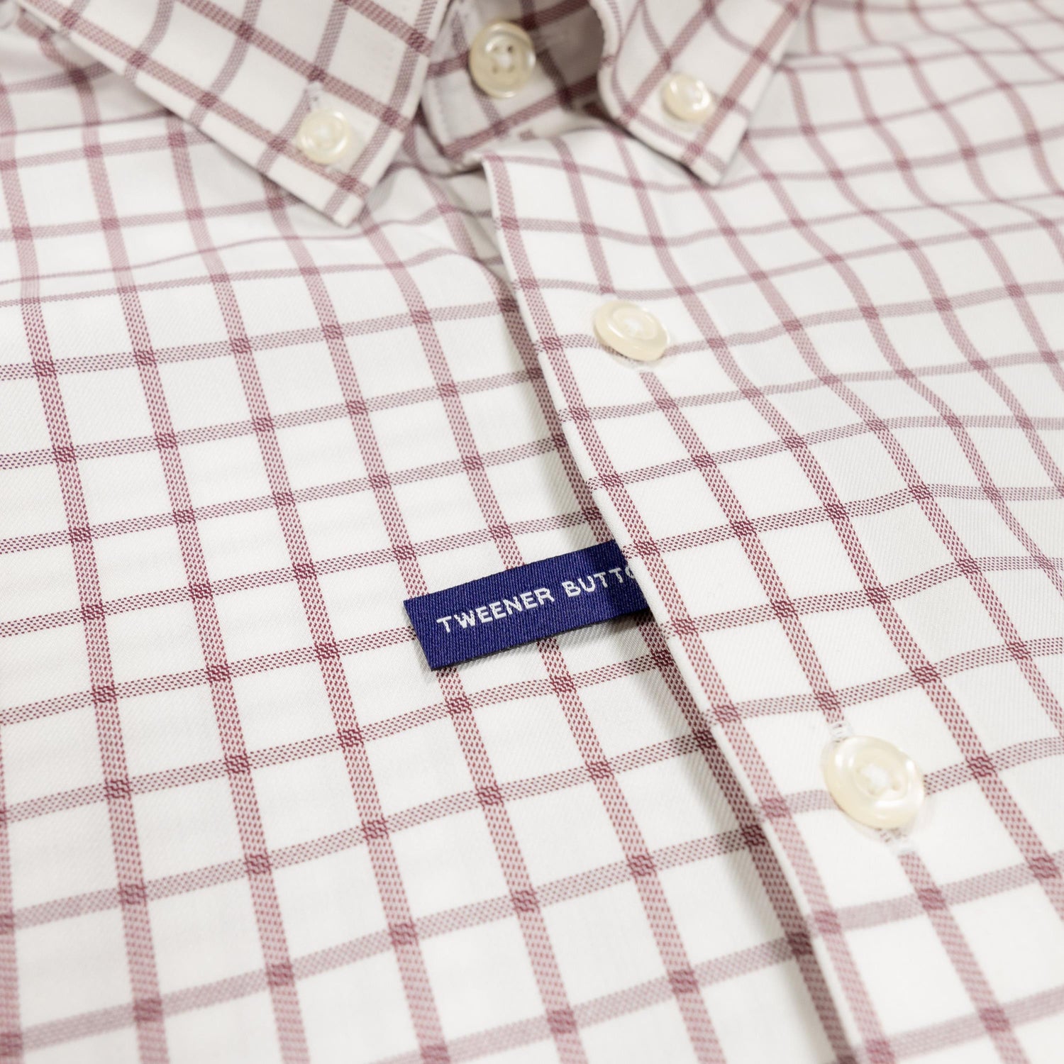 Signor Button Down